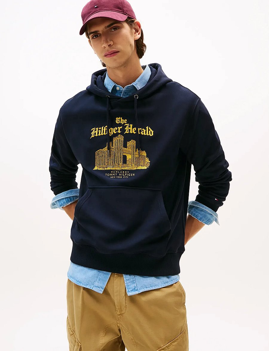Tommy Hilfiger - HERALD SKYLINE HOODY - kapuzenpullover - desert sky - 0