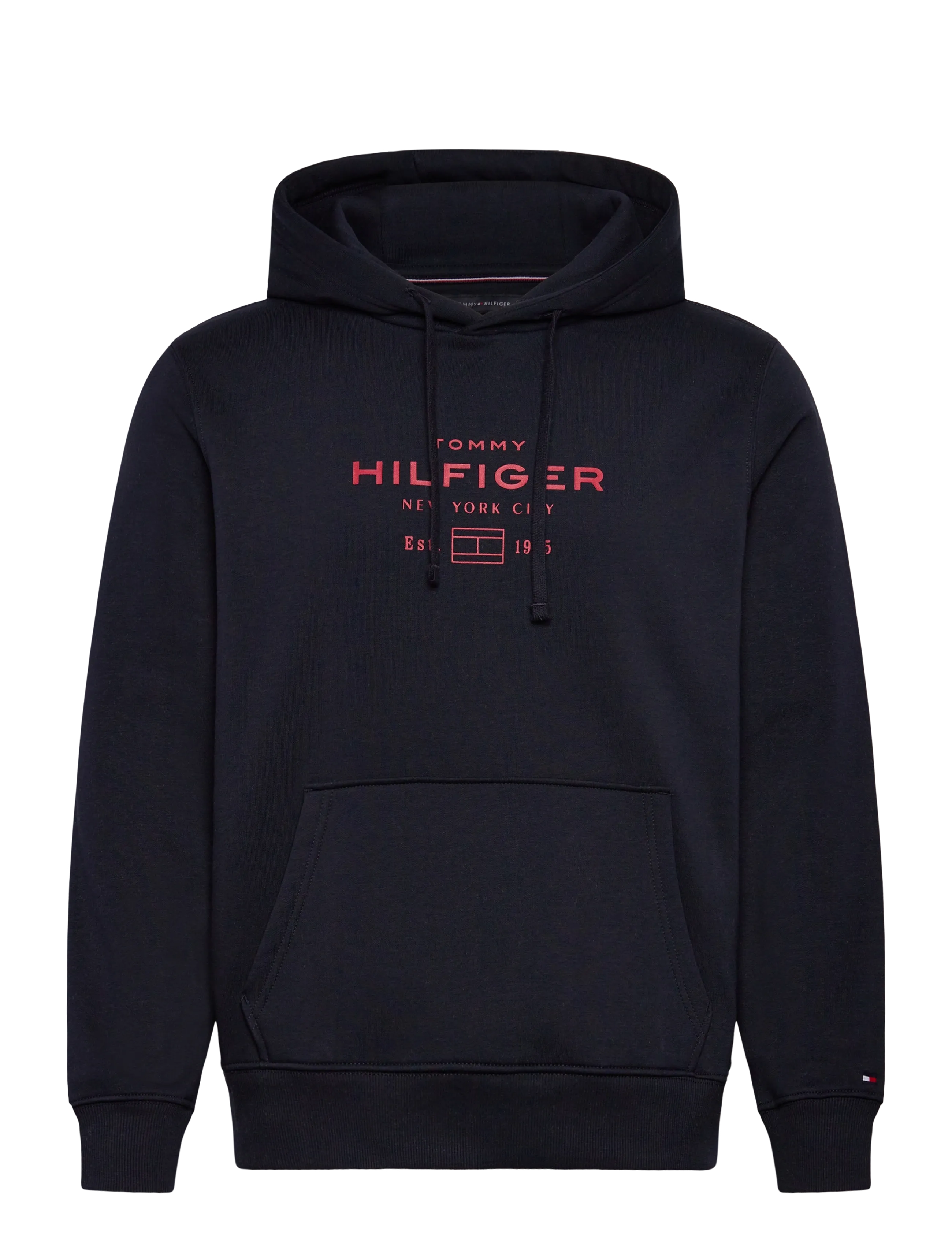 Tommy Hilfiger - OVAL GRAPHIC HOODIE - sweatshirts - desert sky - 1