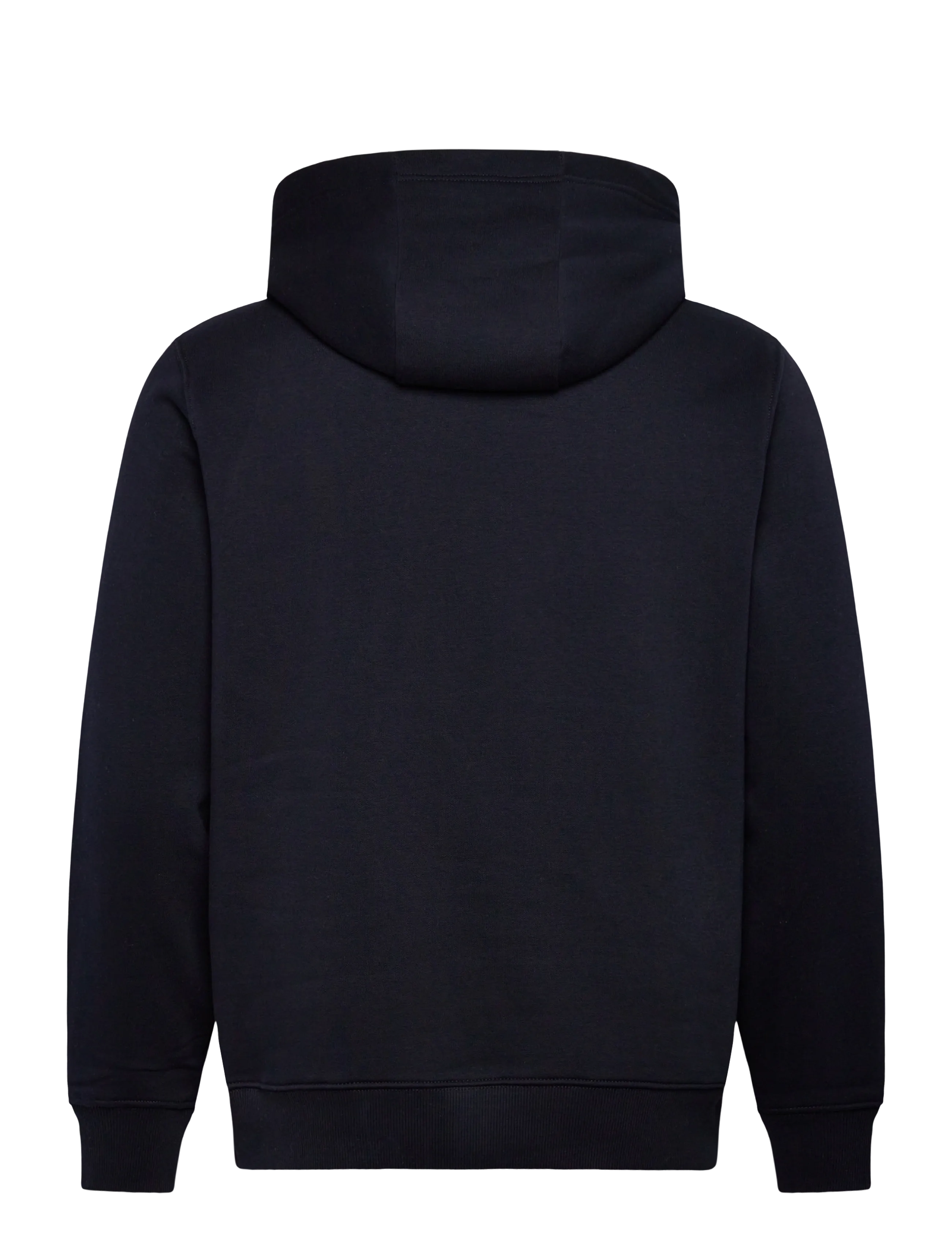 Tommy Hilfiger - OVAL GRAPHIC HOODIE - sweatshirts - desert sky - 2