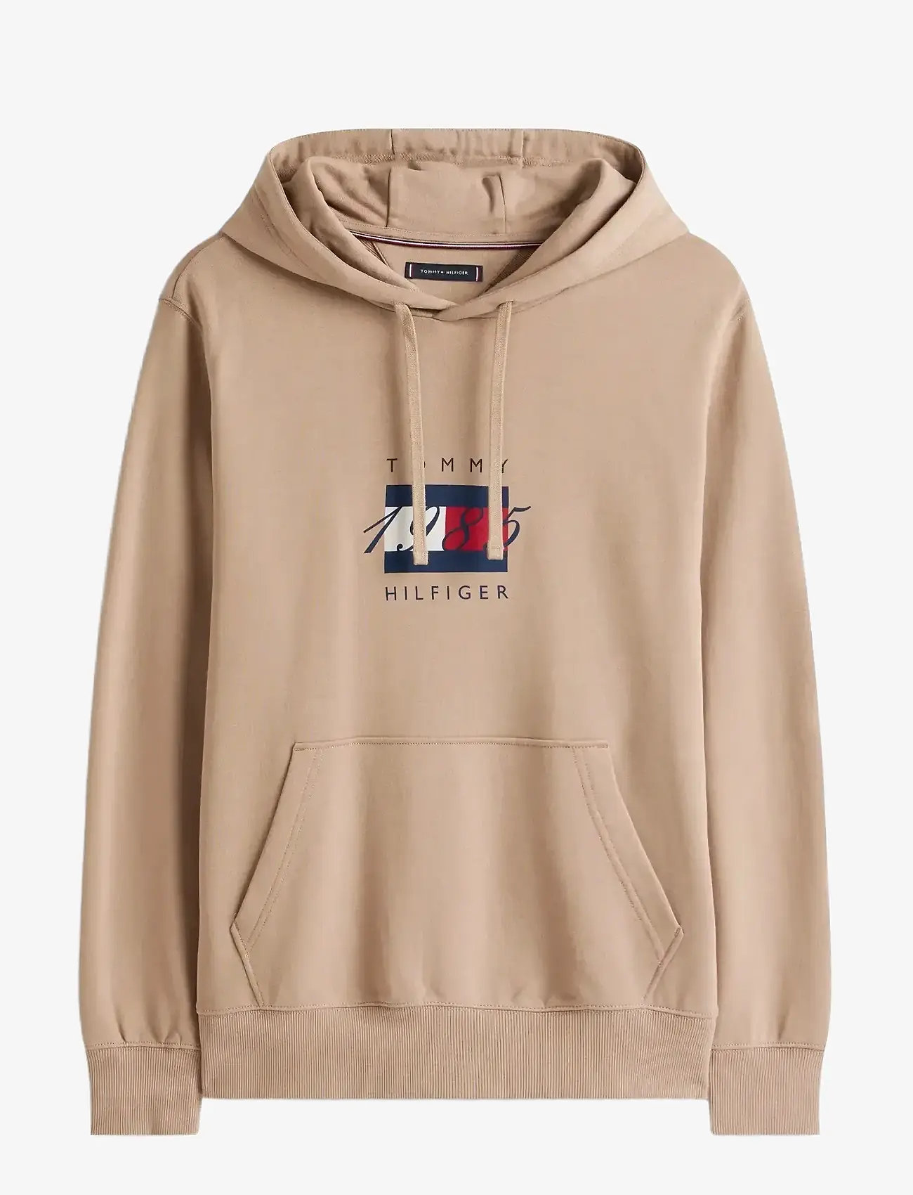 Tommy Hilfiger - LINEAR FLAG GRAPHIC HOODIE - hoodies - coastal taupe - 1