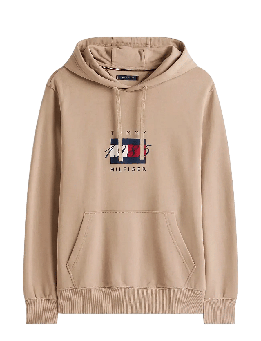 Tommy Hilfiger - LINEAR FLAG GRAPHIC HOODIE - kapuutsiga pusad - coastal taupe - 1
