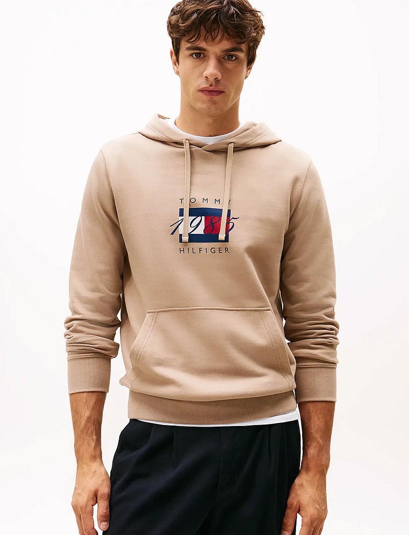 Tommy Hilfiger - LINEAR FLAG GRAPHIC HOODIE - hoodies - coastal taupe - 0
