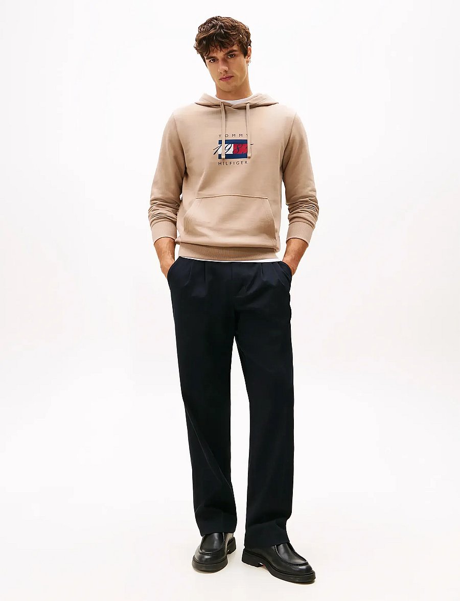 Tommy Hilfiger - LINEAR FLAG GRAPHIC HOODIE - kapuutsiga pusad - coastal taupe - 2