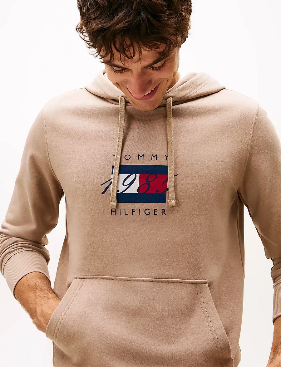 Tommy Hilfiger - LINEAR FLAG GRAPHIC HOODIE - kapuutsiga pusad - coastal taupe - 4