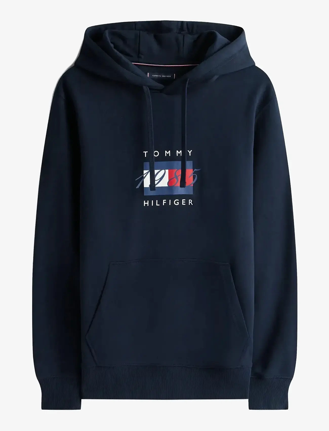 Tommy Hilfiger - LINEAR FLAG GRAPHIC HOODIE - hættetrøjer - desert sky - 1