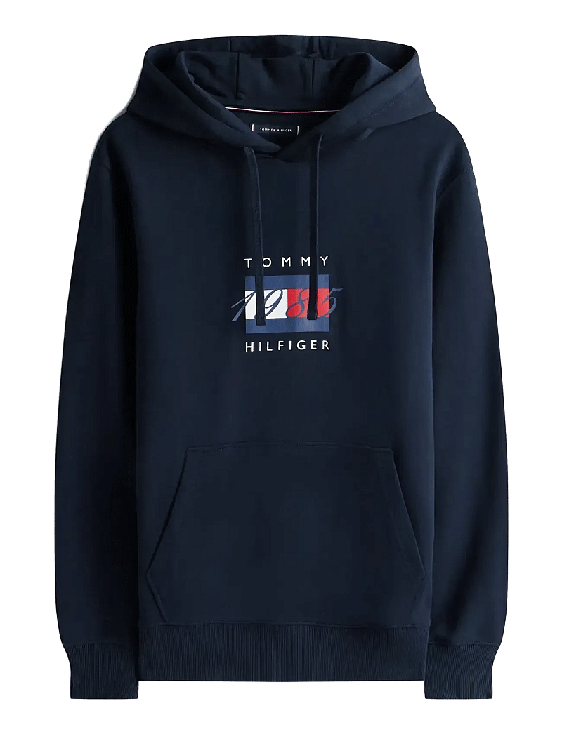 Tommy Hilfiger - LINEAR FLAG GRAPHIC HOODIE - kapuzenpullover - desert sky - 1