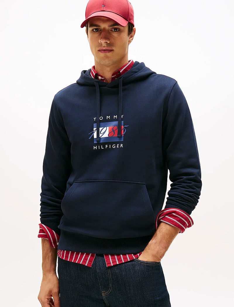 Tommy Hilfiger - LINEAR FLAG GRAPHIC HOODIE - kapuzenpullover - desert sky - 0