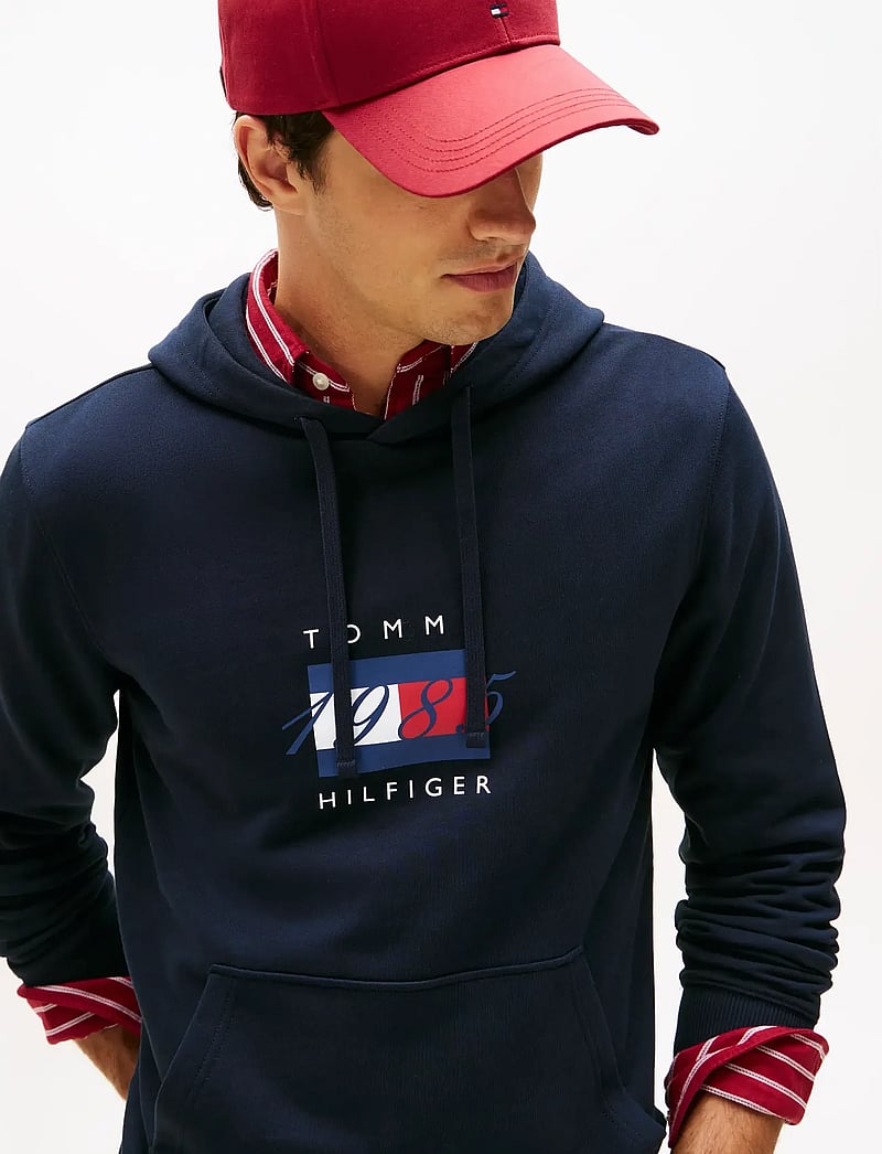 Tommy Hilfiger - LINEAR FLAG GRAPHIC HOODIE - kapuzenpullover - desert sky - 4