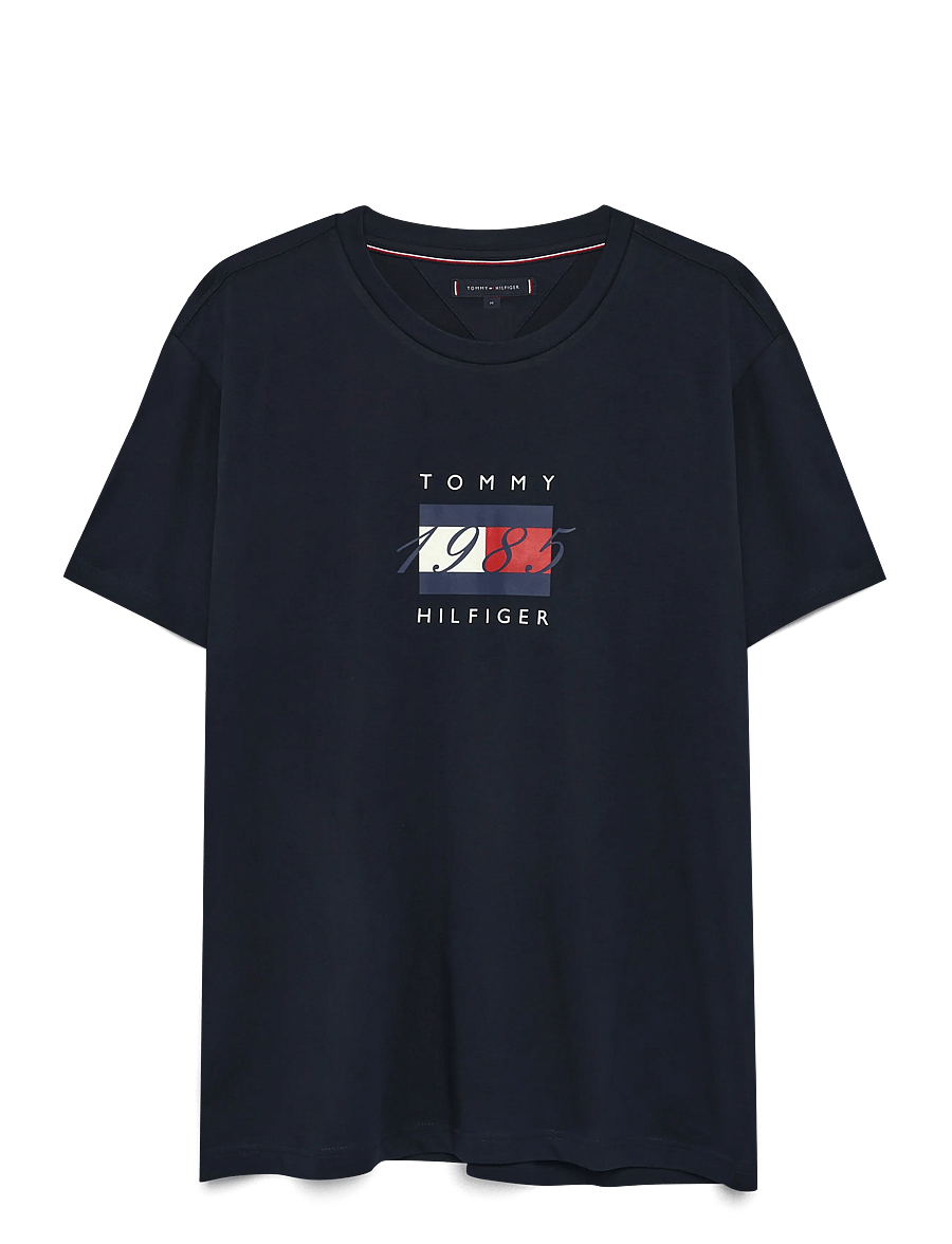 Tommy Hilfiger - LINEAR FLAG GRAPHIC TEE - short-sleeved t-shirts - desert sky - 1
