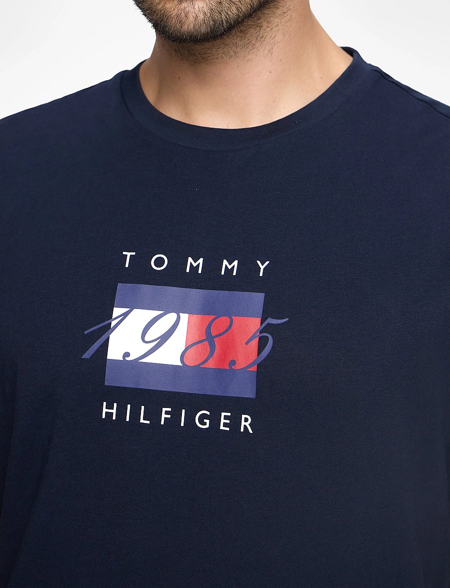Tommy Hilfiger - LINEAR FLAG GRAPHIC TEE - short-sleeved t-shirts - desert sky - 5