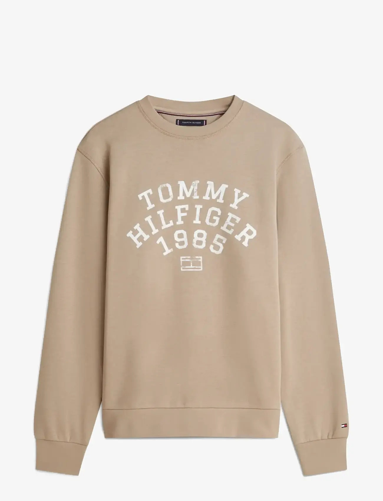 Tommy Hilfiger - HILFIGER ARCH SWEATSHIRT - shoppa efter tillfälle - coastal taupe - 1