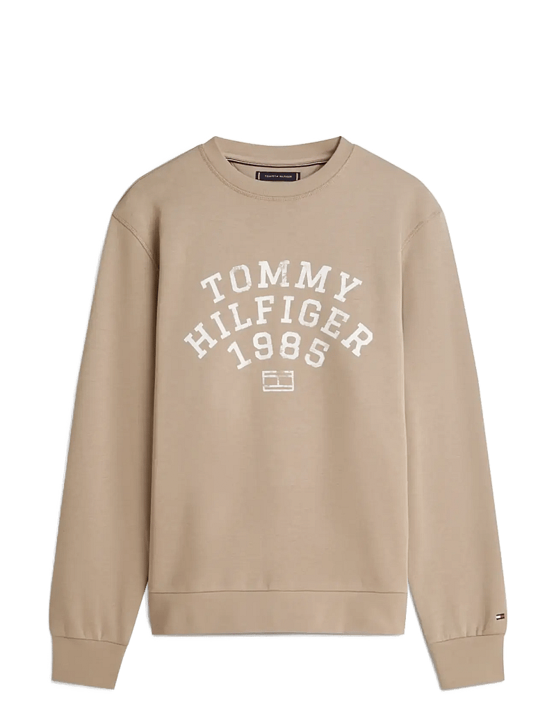 Tommy Hilfiger - HILFIGER ARCH SWEATSHIRT - shoppa efter tillfälle - coastal taupe - 1