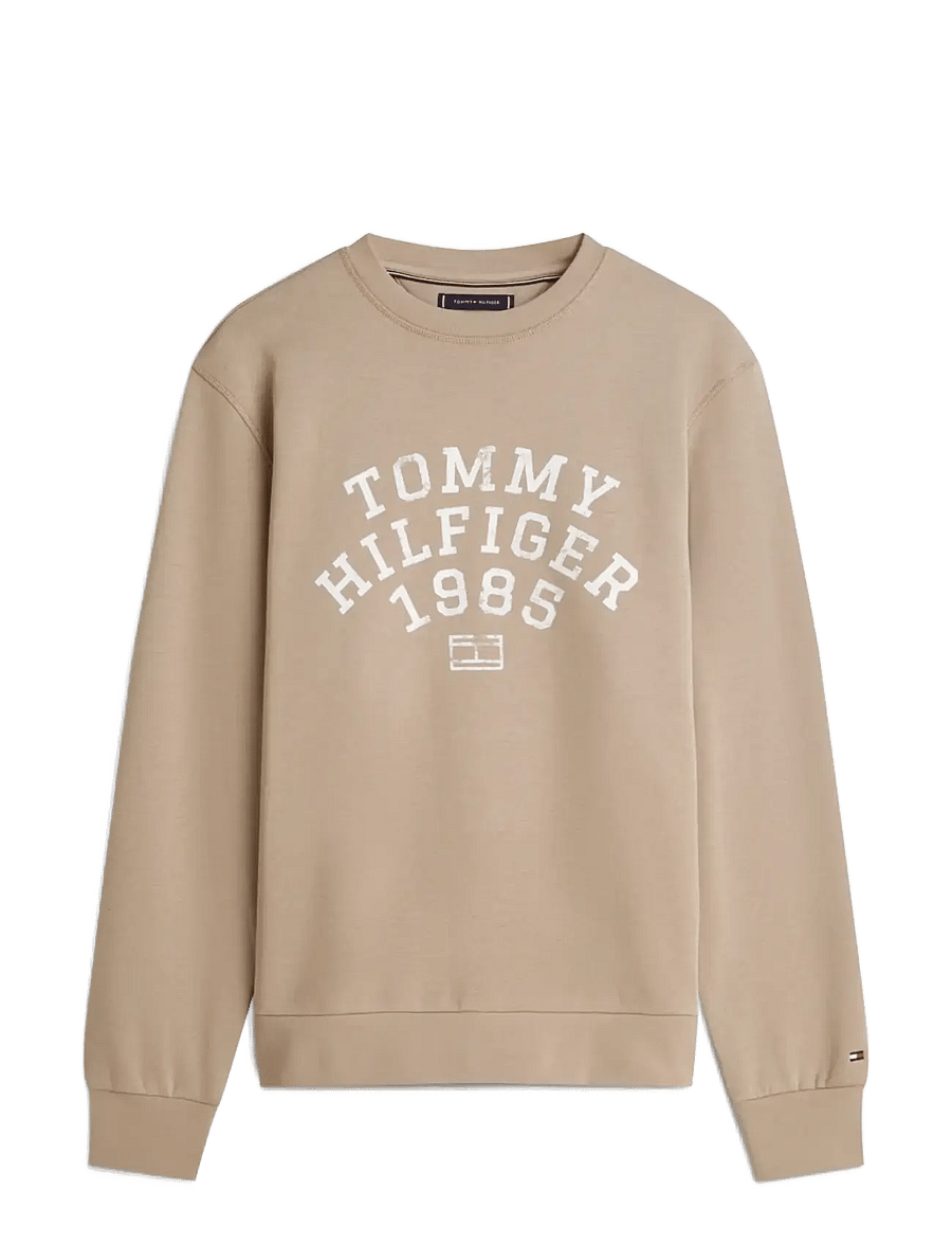 Tommy Hilfiger - HILFIGER ARCH SWEATSHIRT - sweatshirts - coastal taupe - 1