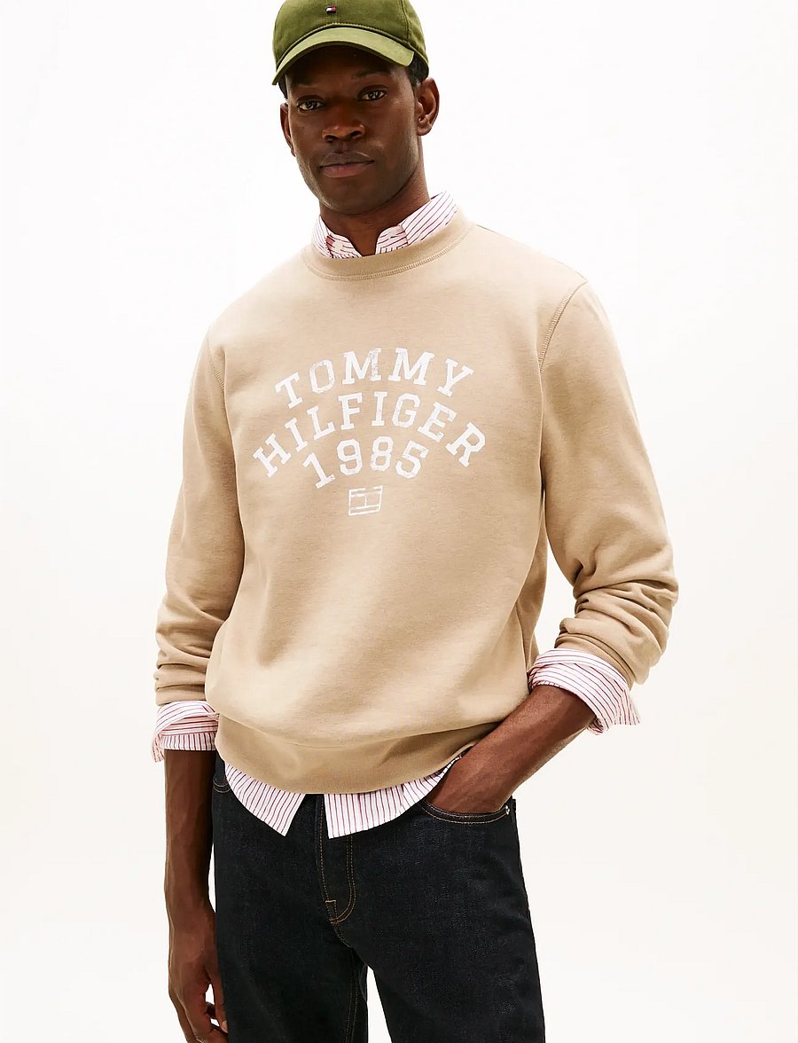 Tommy Hilfiger - HILFIGER ARCH SWEATSHIRT - sweatshirts - coastal taupe - 0