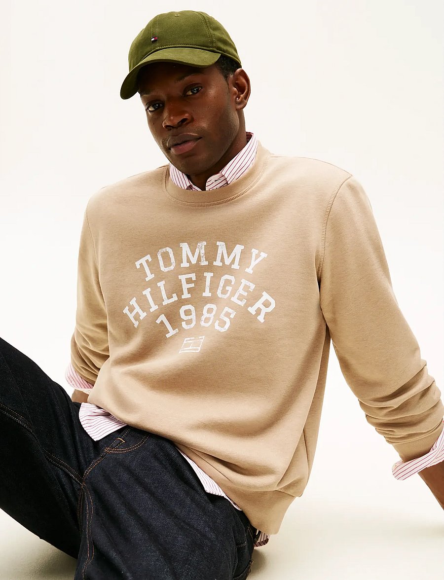 Tommy Hilfiger - HILFIGER ARCH SWEATSHIRT - sweatshirts - coastal taupe - 4