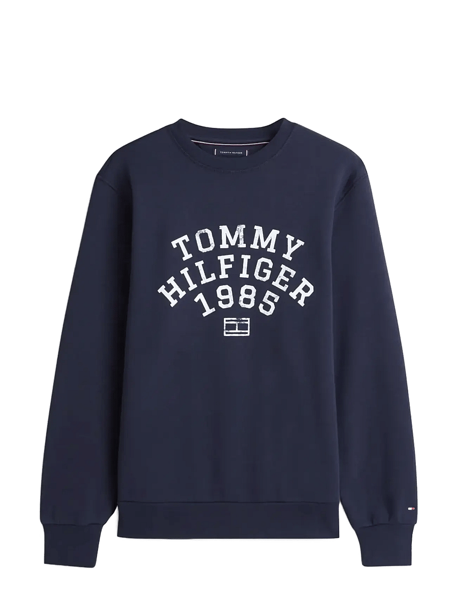 Tommy Hilfiger - HILFIGER ARCH SWEATSHIRT - sweatshirts - desert sky - 1