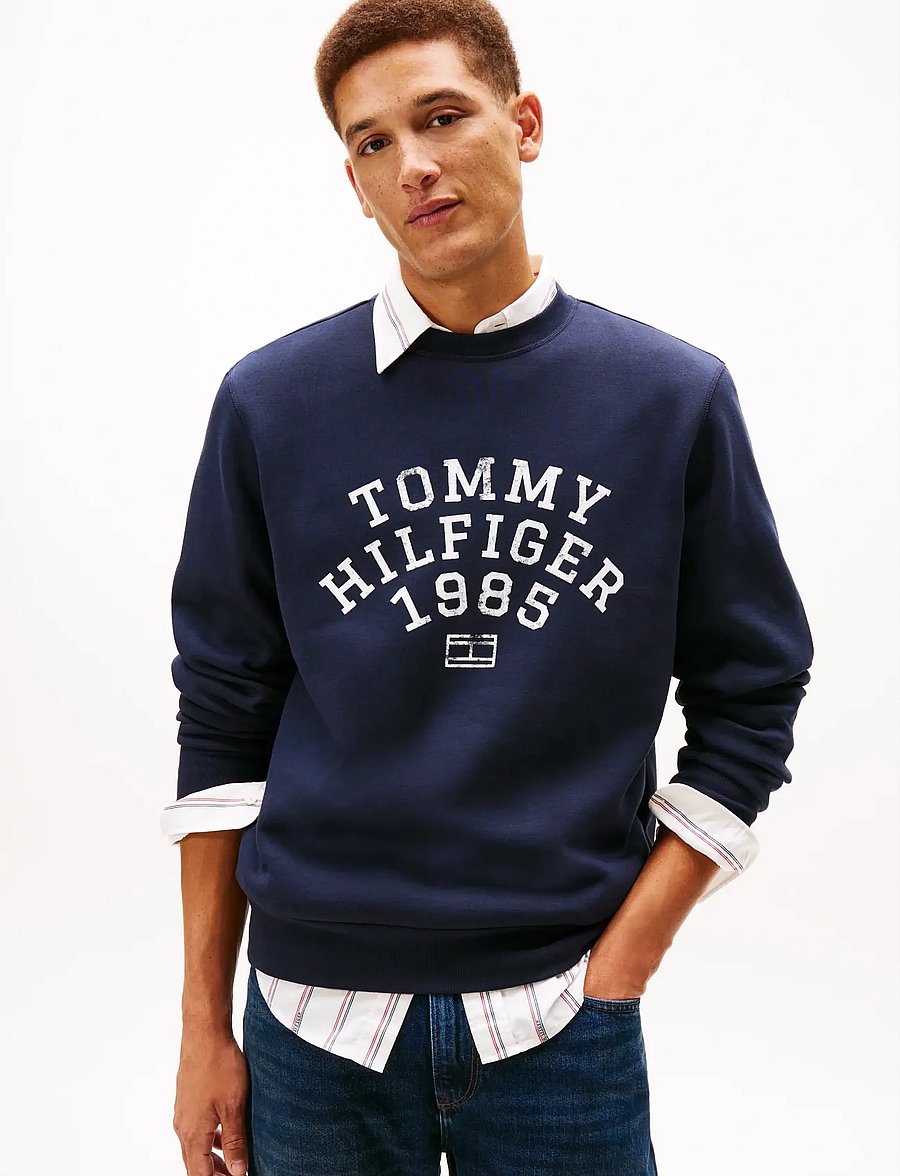 Tommy Hilfiger - HILFIGER ARCH SWEATSHIRT - sweatshirts - desert sky - 0