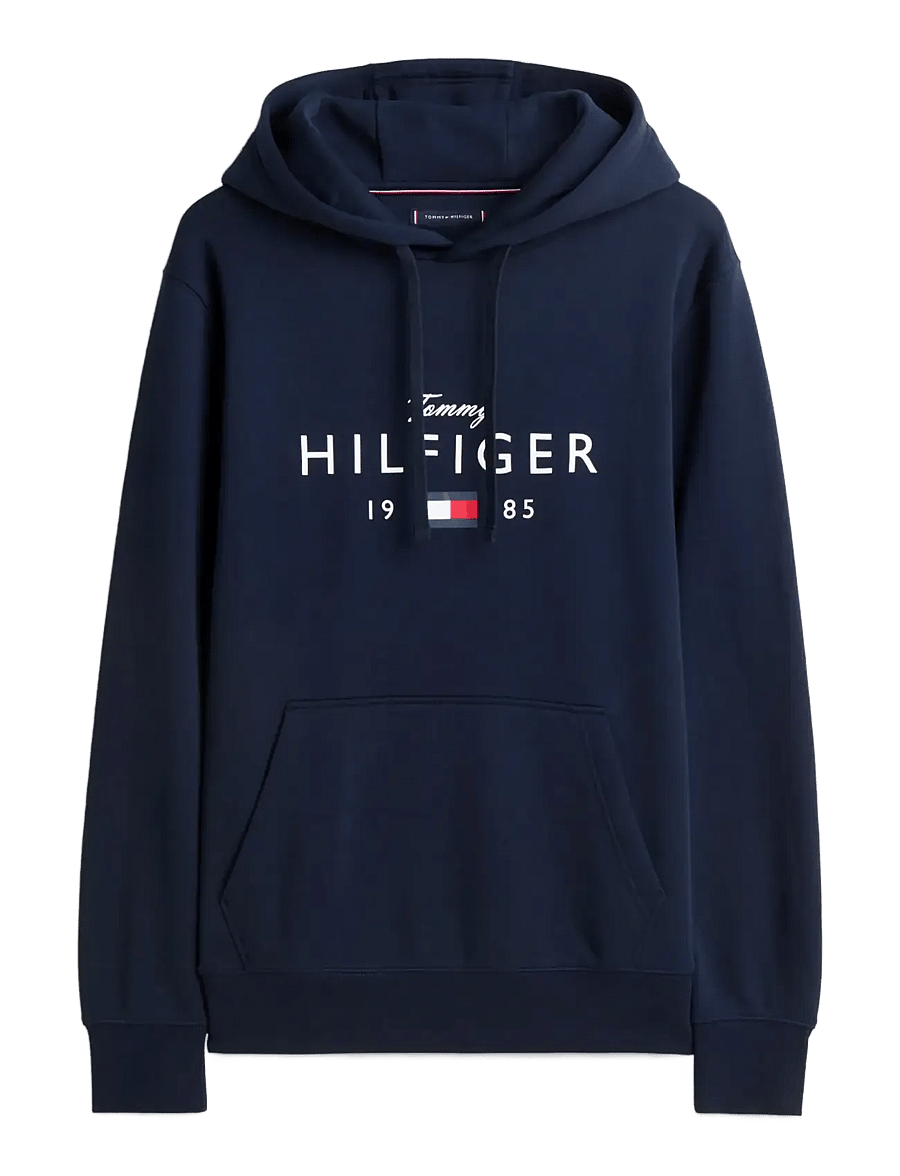 Tommy Hilfiger - BRAND LOVE BIG HILFIGER HOODIE - hættetrøjer - desert sky - 1