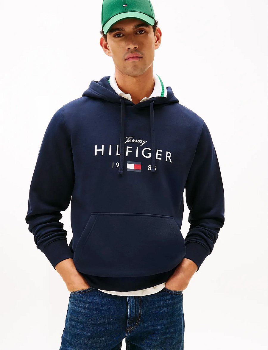 Tommy Hilfiger - BRAND LOVE BIG HILFIGER HOODIE - hættetrøjer - desert sky - 0