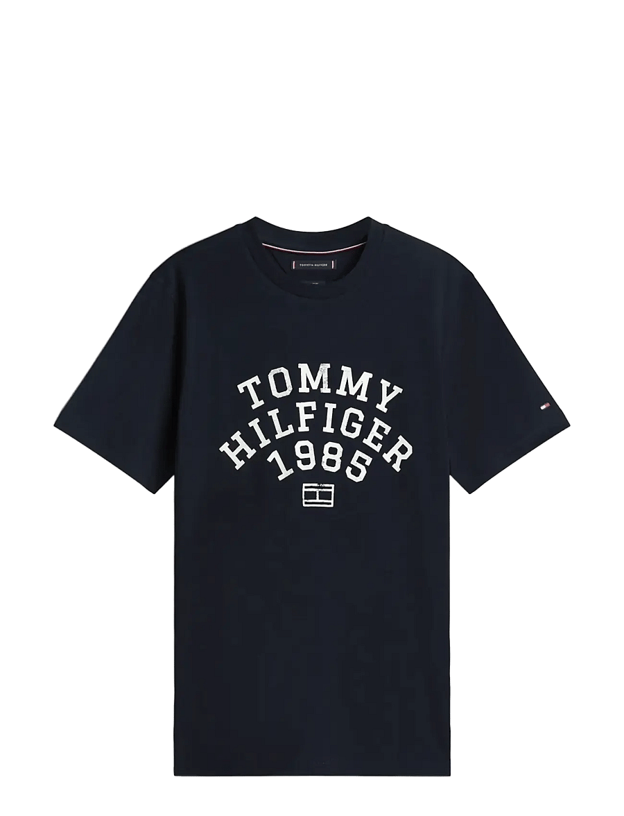 Tommy Hilfiger - HILFIGER ARCH TEE - short-sleeved t-shirts - desert sky - 1