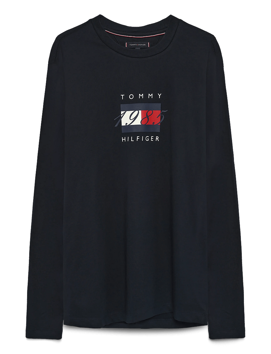 Tommy Hilfiger - LINEAR FLAG GRAPHIC LS TEE - langärmelige t-shirts - desert sky - 1