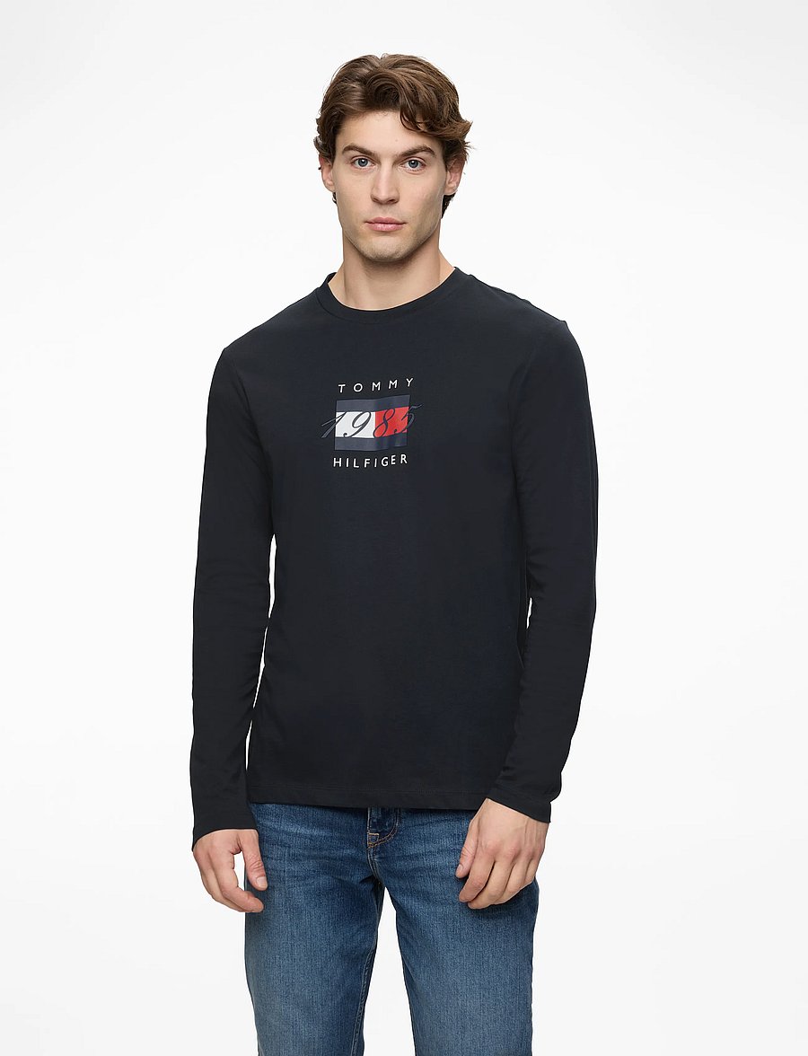 Tommy Hilfiger - LINEAR FLAG GRAPHIC LS TEE - langärmelige t-shirts - desert sky - 0