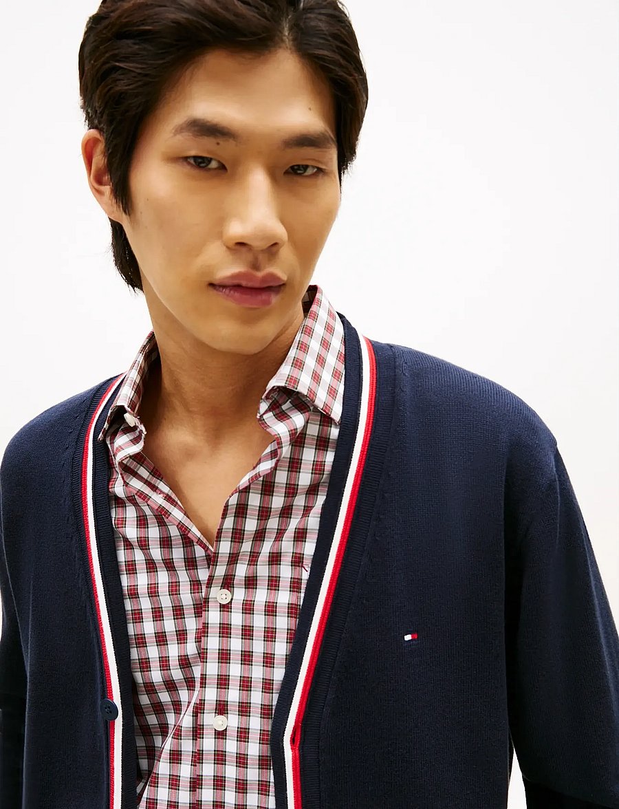 Tommy Hilfiger - RWB CARDIGAN - gilets - desert sky - 4