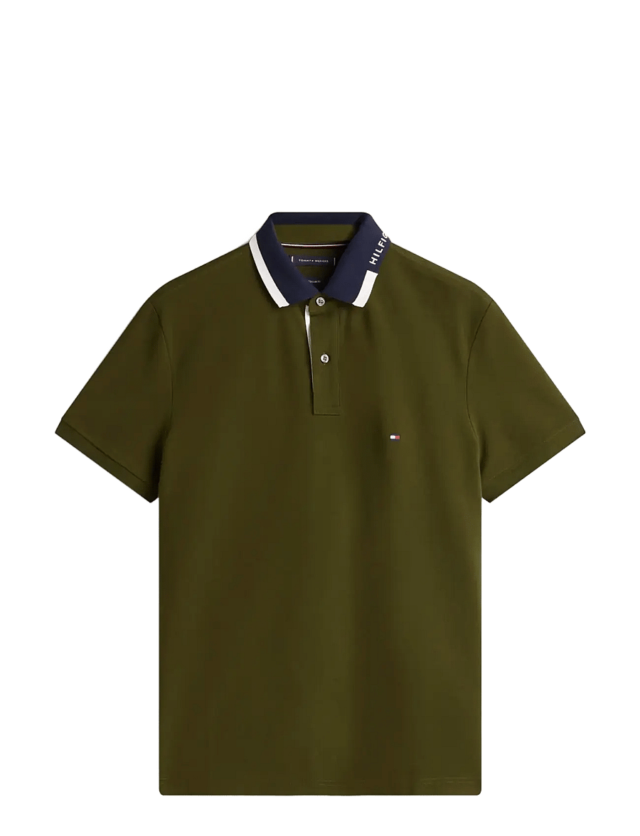 Tommy Hilfiger - PIQUE GRAFIC COLLAR REG POLO - kurzärmelig - arctic spruce - 1