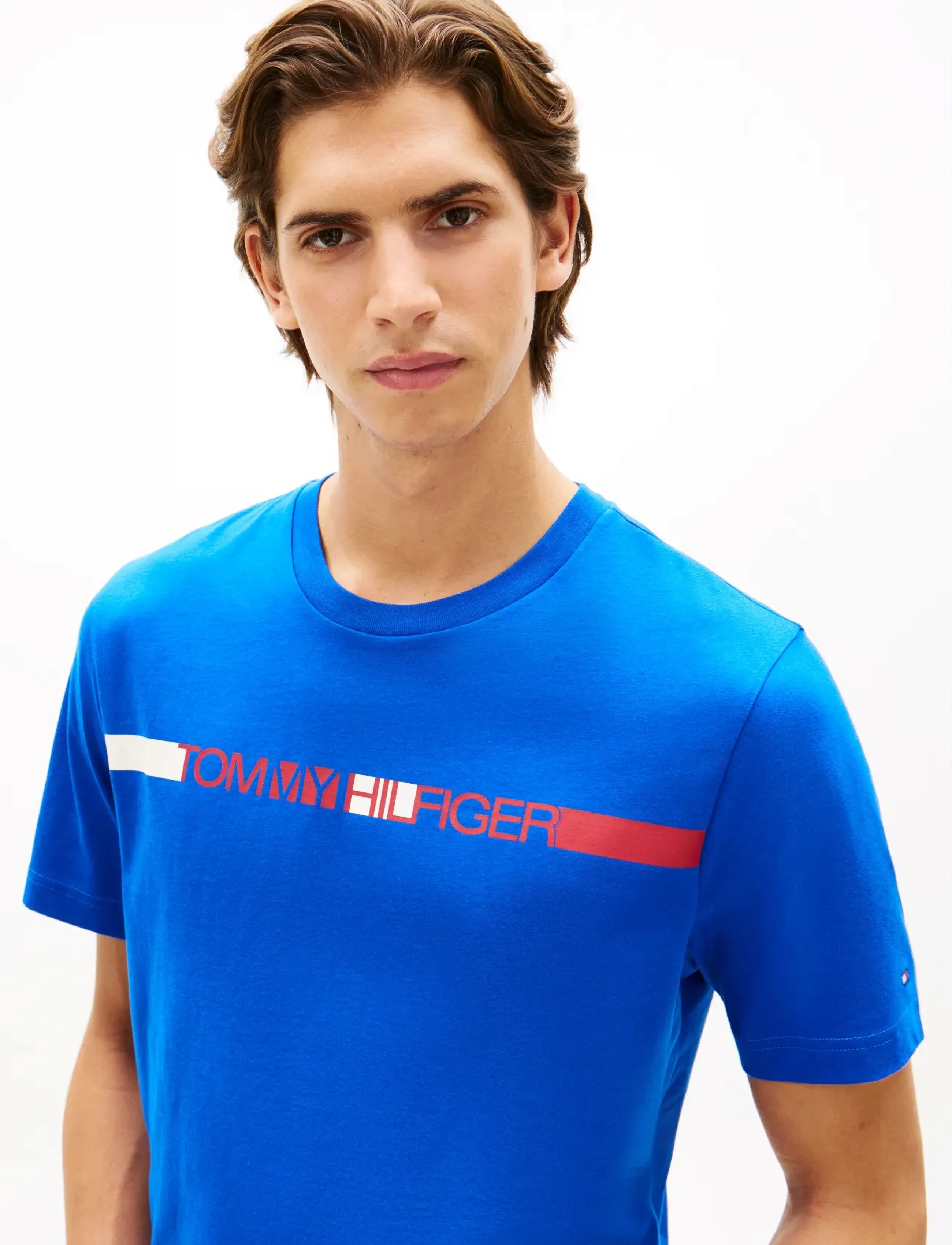 Tommy Hilfiger - BRAND LOVE  STRIPE TEE - short-sleeved t-shirts - regal blue - 4