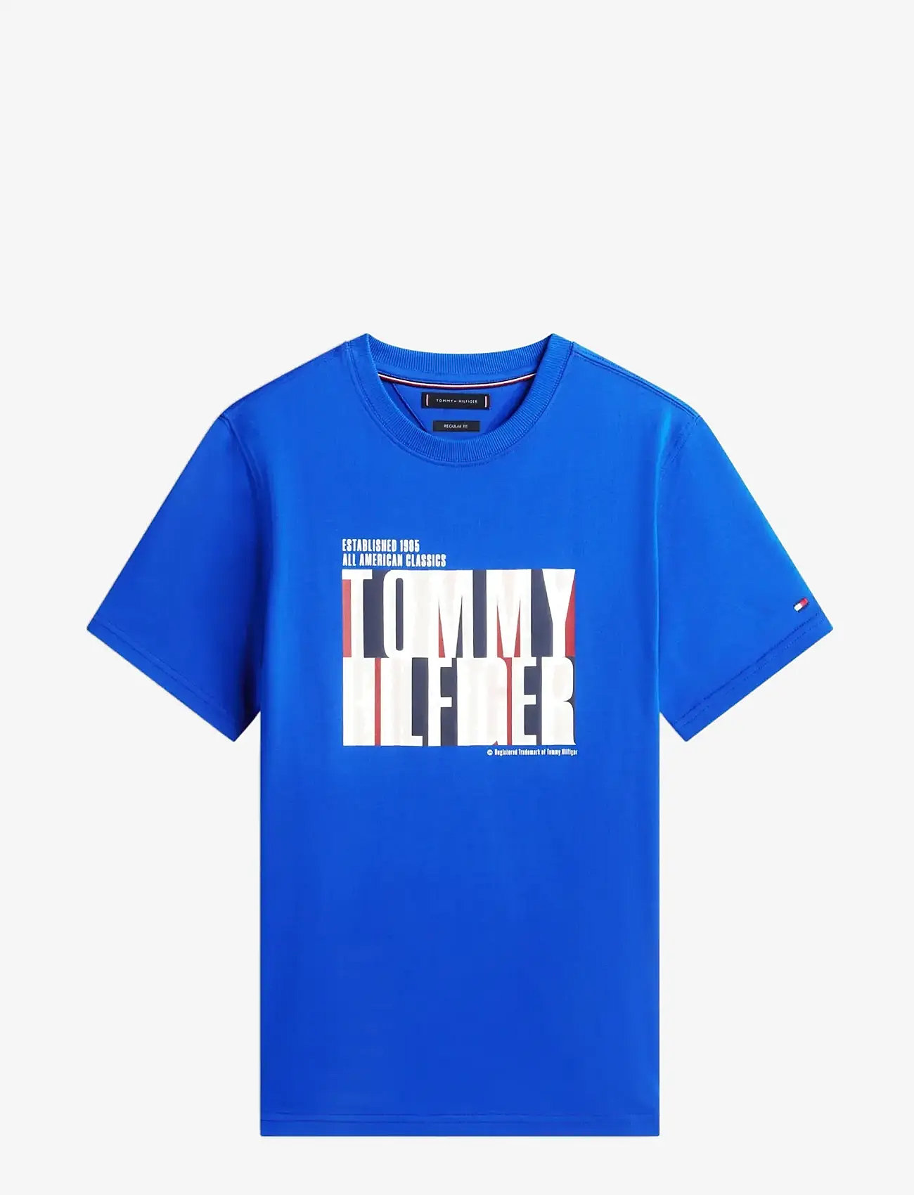 Tommy Hilfiger - SPLIT COLOUR GRAPHIC TEE - kortærmede t-shirts - regal blue - 1