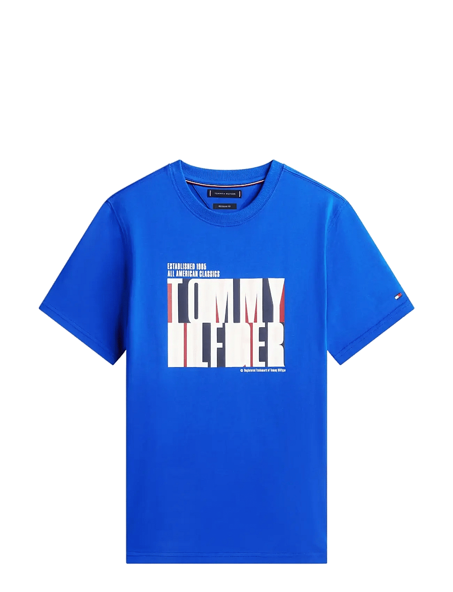 Tommy Hilfiger - SPLIT COLOUR GRAPHIC TEE - lühikeste varrukatega t-särgid - regal blue - 1