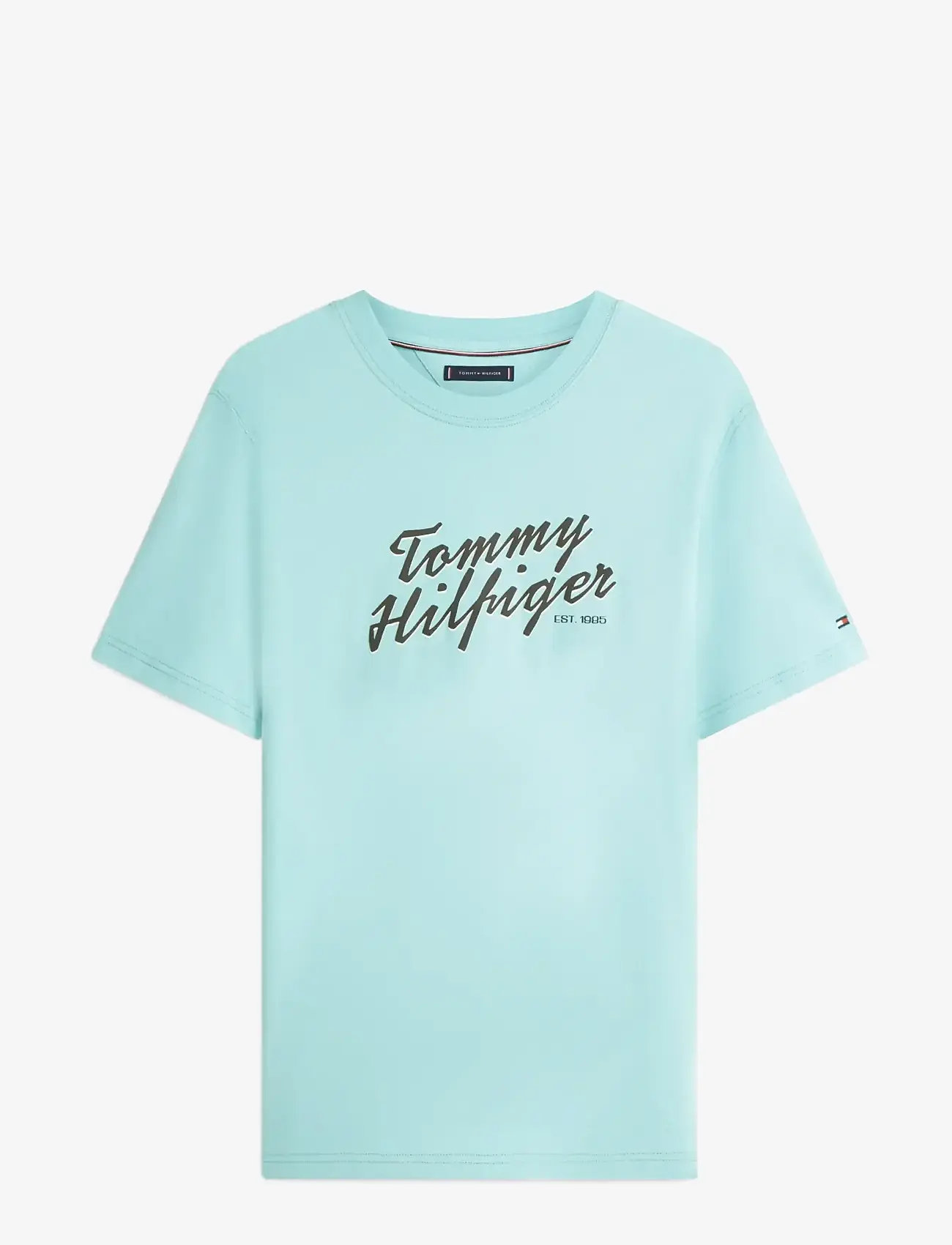 Tommy Hilfiger - SUMMER TEXT GRAPHIC TEE - kortärmade t-shirts - arctic aqua - 1