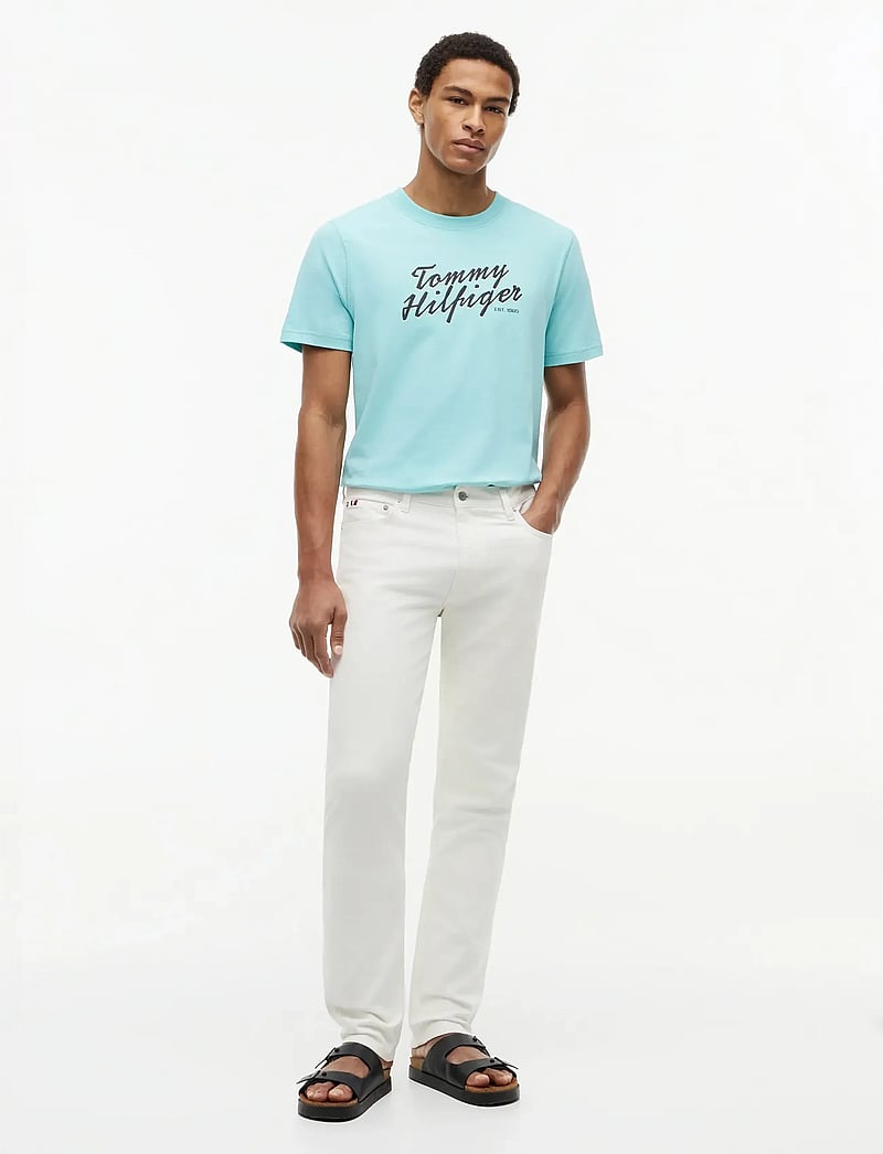 Tommy Hilfiger - SUMMER TEXT GRAPHIC TEE - kortærmede t-shirts - arctic aqua - 4