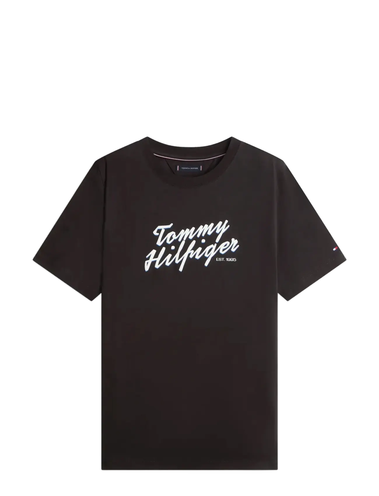 Tommy Hilfiger SUMMER TEXT GRAPHIC TEE - Premium styles - BLACK / black