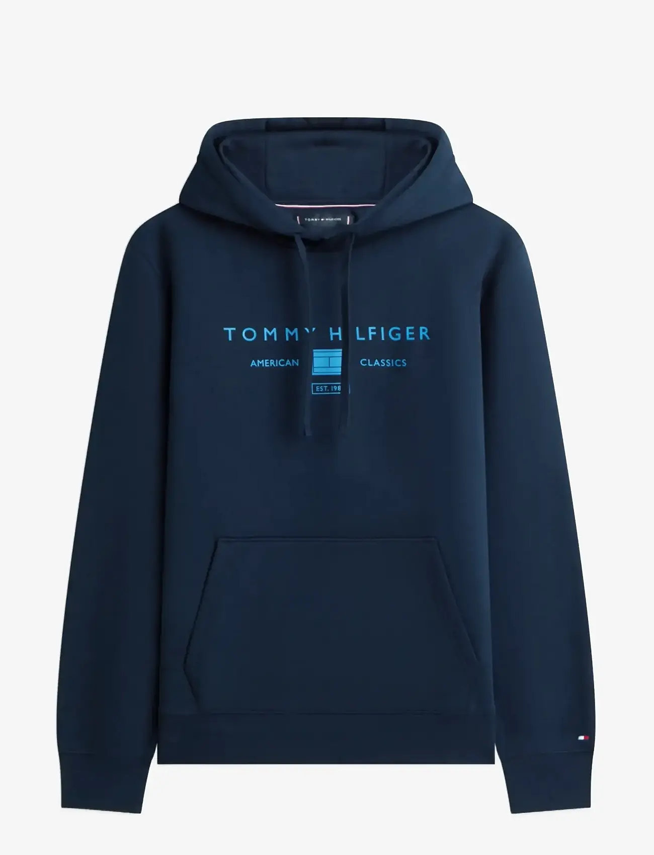 Tommy Hilfiger - BRAND LOVE TR MONO STACK HOODY - kapuutsiga dressipluusid - desert sky - 1