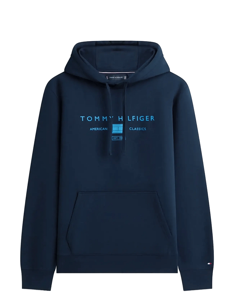 Tommy Hilfiger - BRAND LOVE TR MONO STACK HOODY - kapuutsiga dressipluusid - desert sky - 1