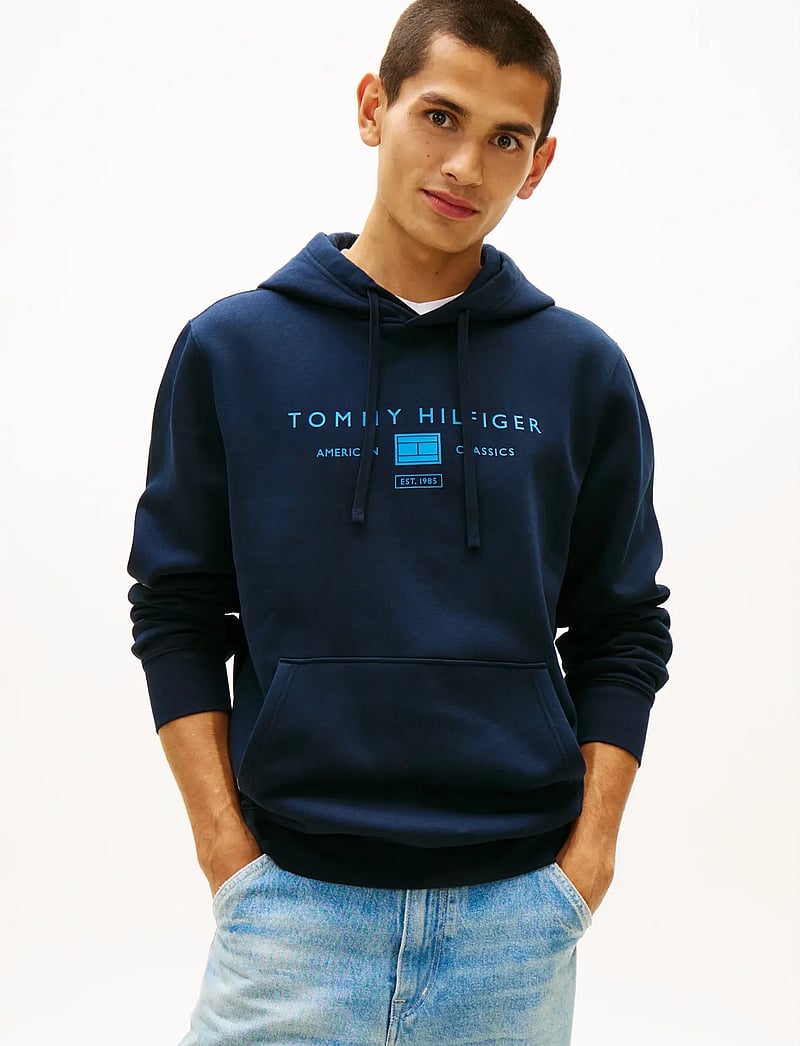 Tommy Hilfiger - BRAND LOVE TR MONO STACK HOODY - kapuutsiga dressipluusid - desert sky - 0