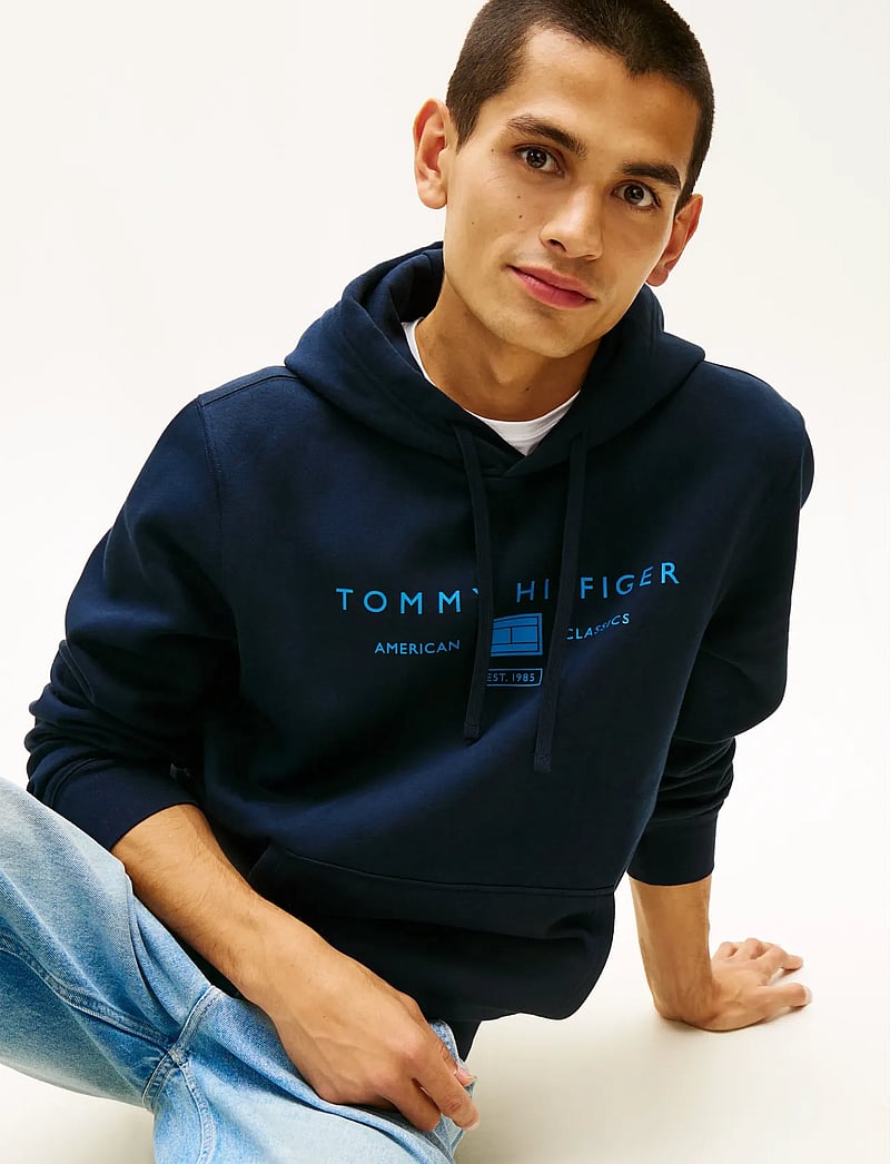Tommy Hilfiger - BRAND LOVE TR MONO STACK HOODY - kapuutsiga dressipluusid - desert sky - 4