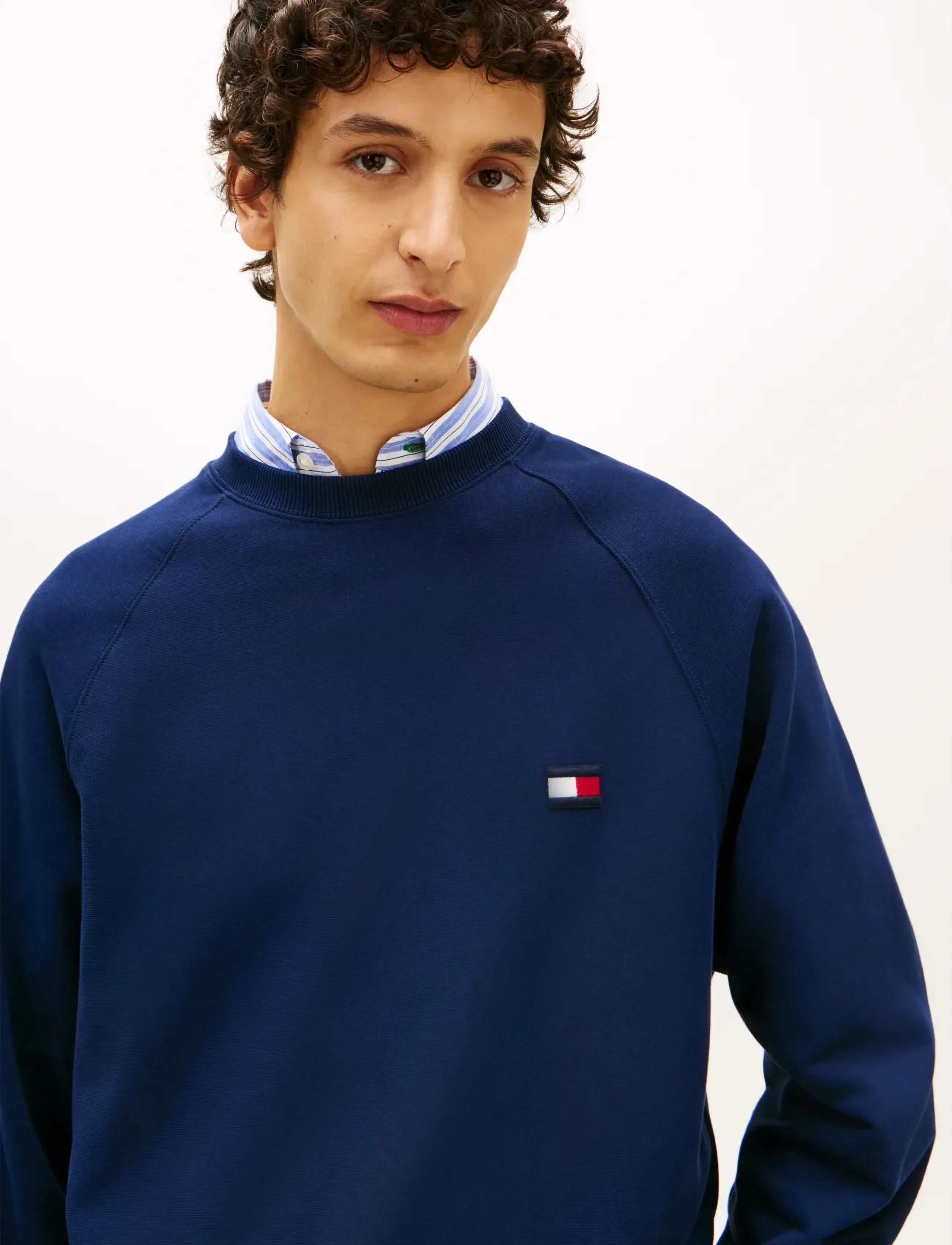 Tommy Hilfiger - TOMMY FLAG ELEVATED SWEATSHIRT - sweatshirts - carbon navy - 4