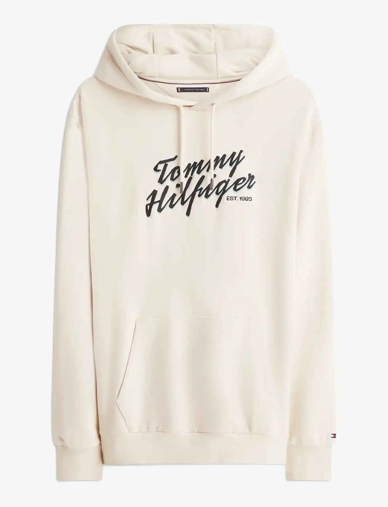 Tommy Hilfiger - SUMMER TEXT GRAPHIC HOODY - hættetrøjer - muslin - 1
