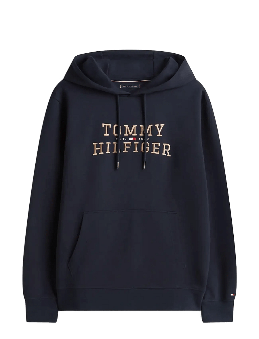Tommy Hilfiger - ICON INTECHNO HOODY - shop by occasion - desert sky - 1