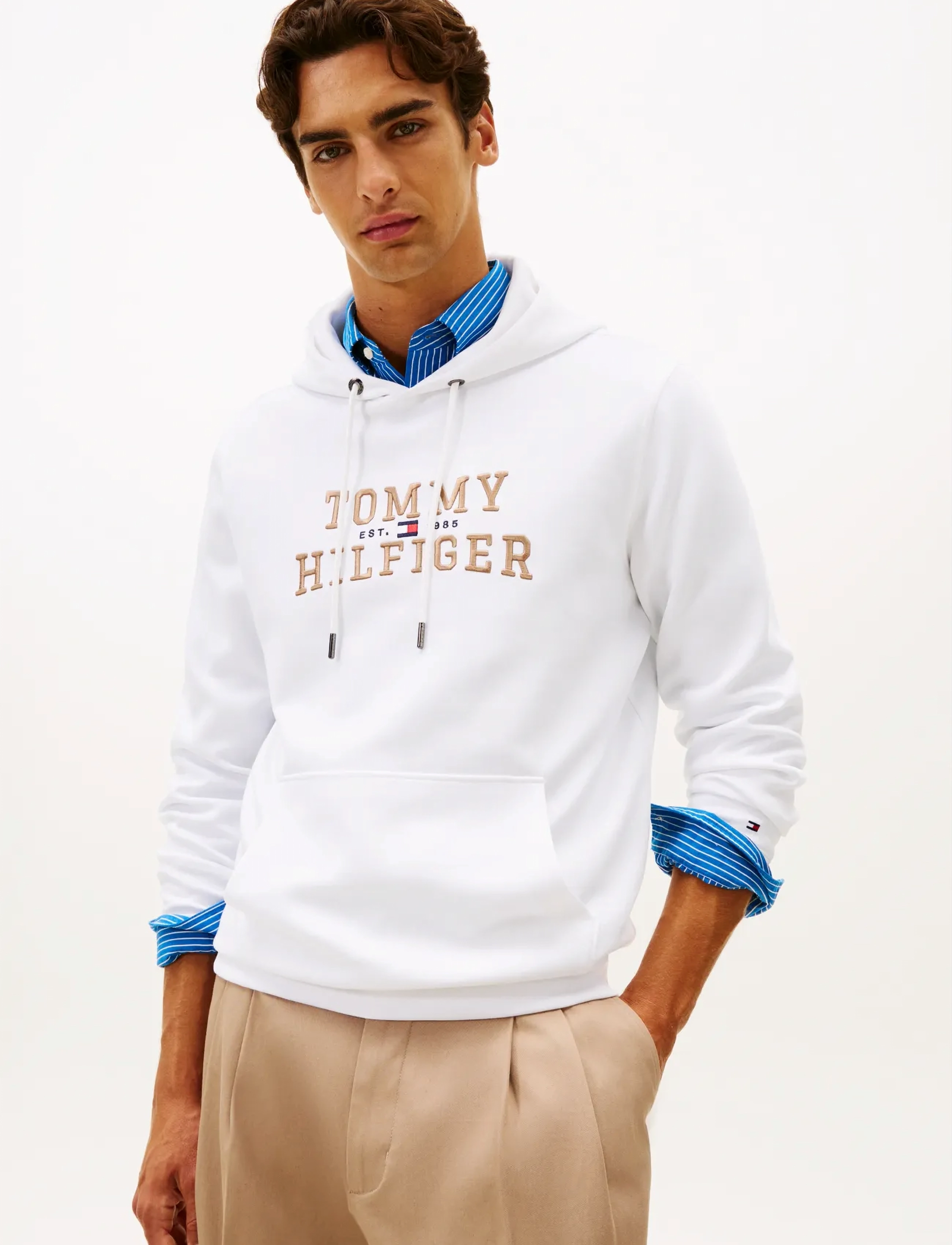 Tommy Hilfiger ICON INTECHNO HOODY - Tommy Hilfiger - WHITE / white