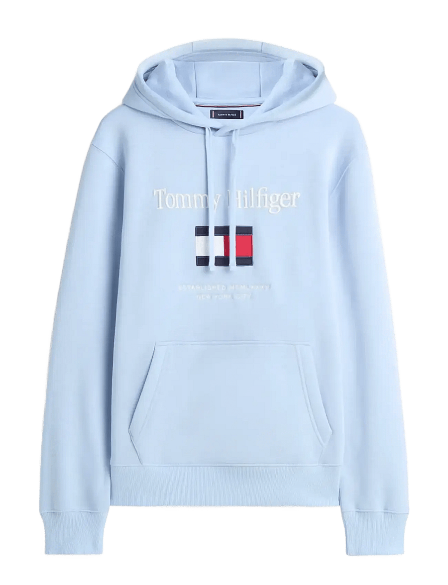 Tommy Hilfiger - TOMMY EMBRO FLAG HOODIE - kapuutsiga pusad - well water - 1