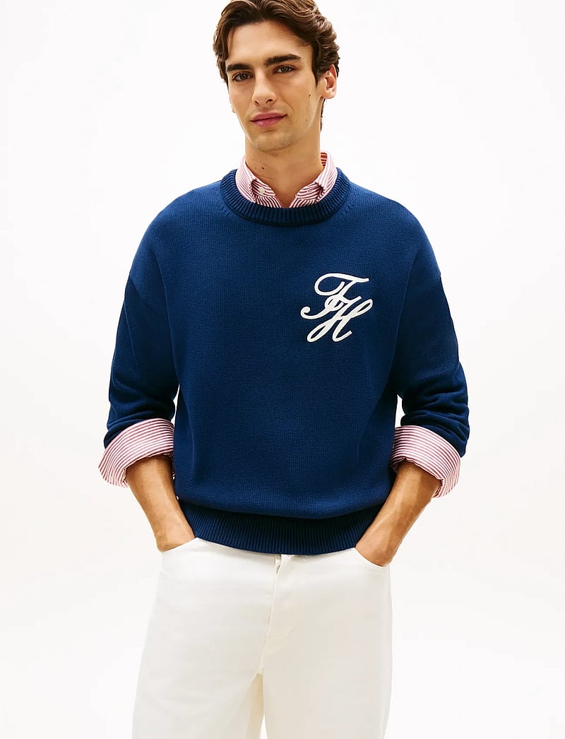 Tommy Hilfiger - CHUNKY COTTON CREW NECK - Ümmarguse kaelusega kudumid - carbon navy - 0