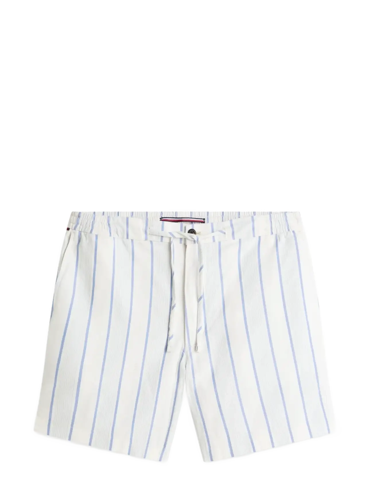 Tommy Hilfiger DOVER 8 INC SWIM SHOP - Shortsit - KEEP SAKE BLUE   BLUE SPELL   ECRU / blue