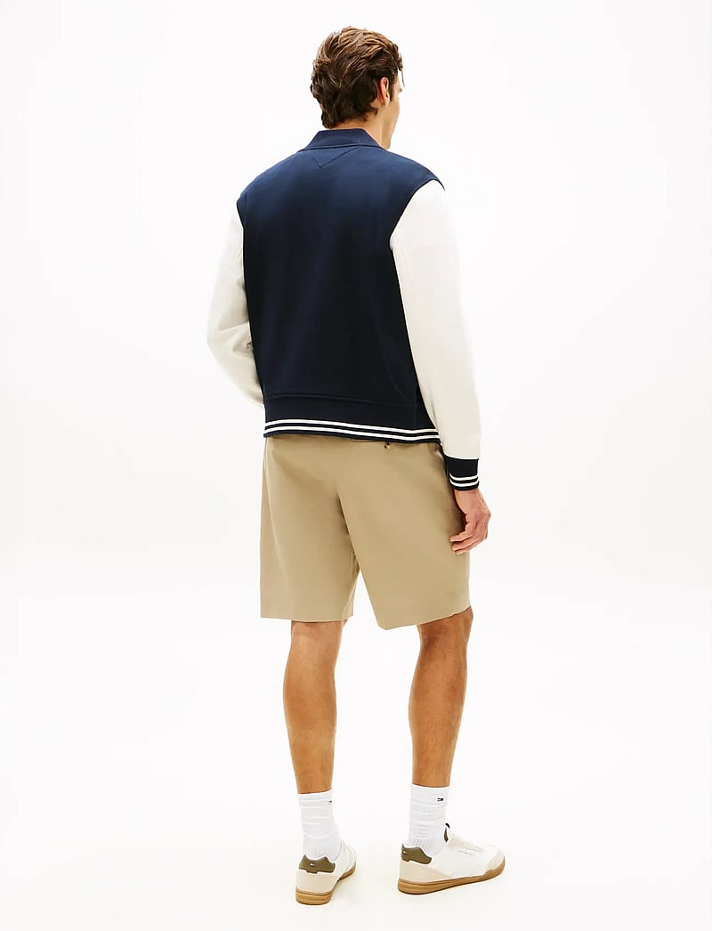 Tommy Hilfiger - SCRIPT COLORBLOCK BOMBER - collegejakker - desert sky - 2