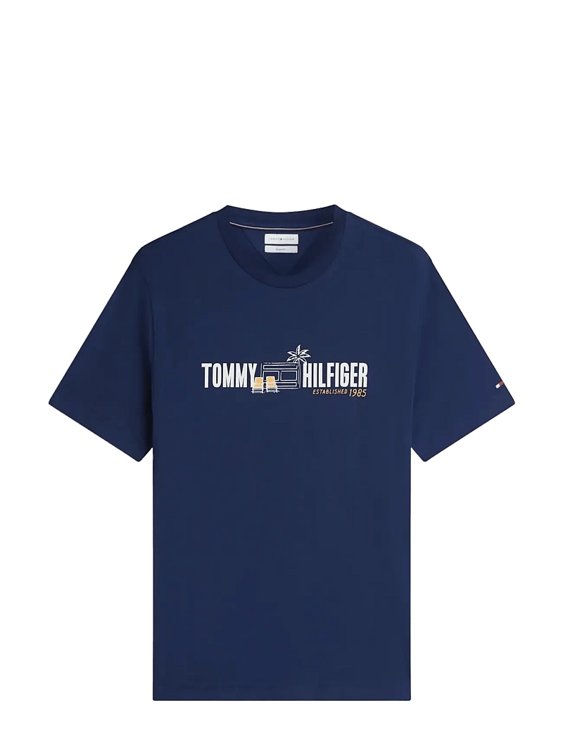 Tommy Hilfiger - SUMMER CHEST GRAPHIC REGULAR TEE - kortærmede t-shirts - carbon navy - 1