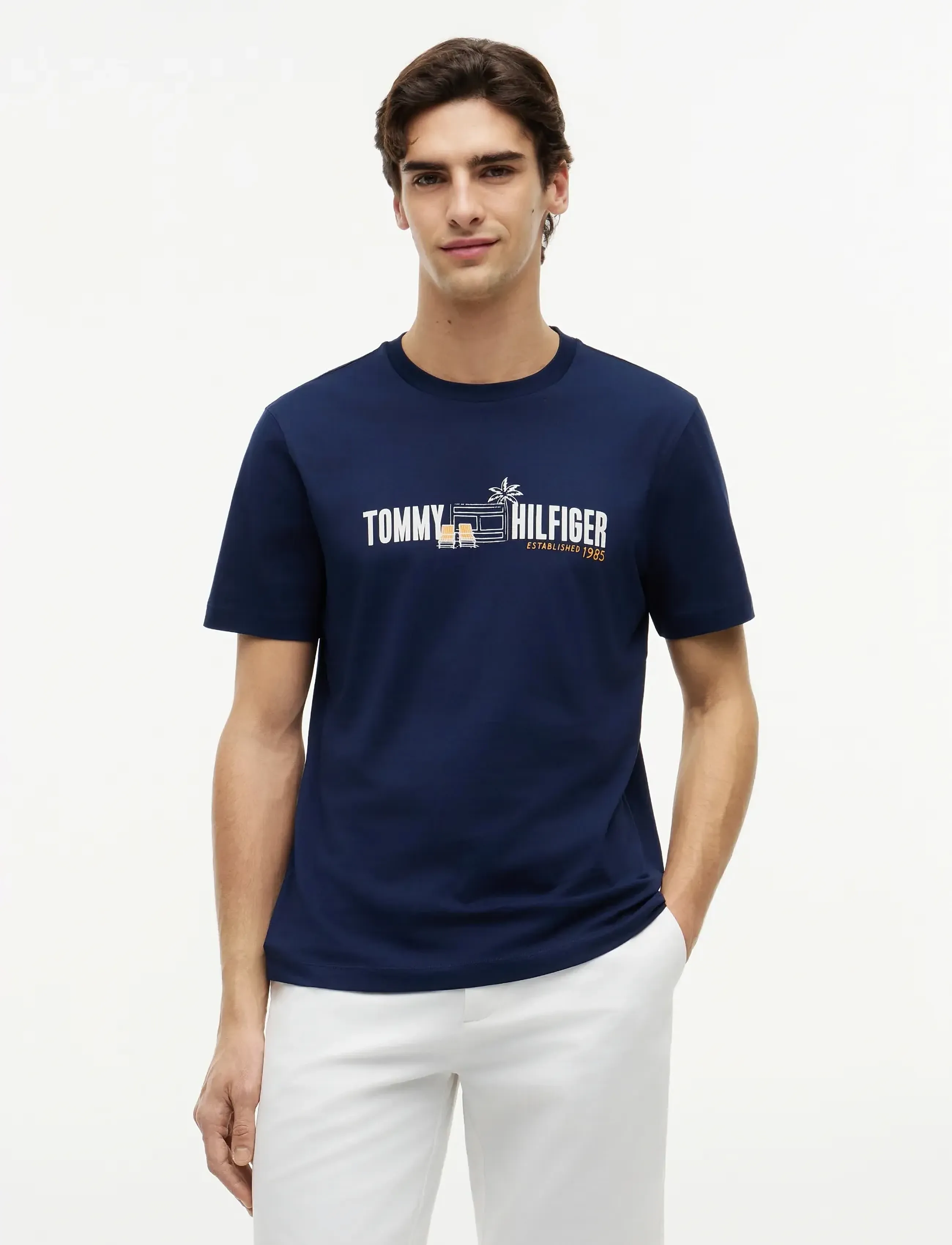 Tommy Hilfiger Summer Chest Graphic Regular Tee, Mænd, Grafisk T-Shirt, Navy, Str: S