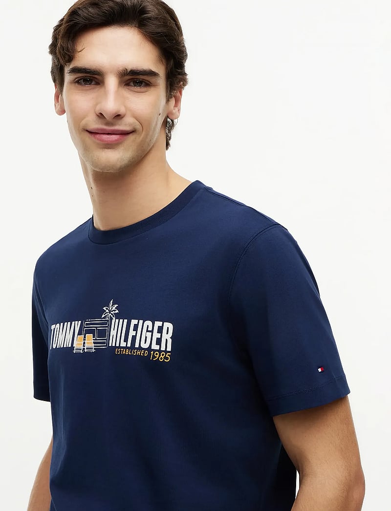 Tommy Hilfiger - SUMMER CHEST GRAPHIC REGULAR TEE - kortærmede t-shirts - carbon navy - 3