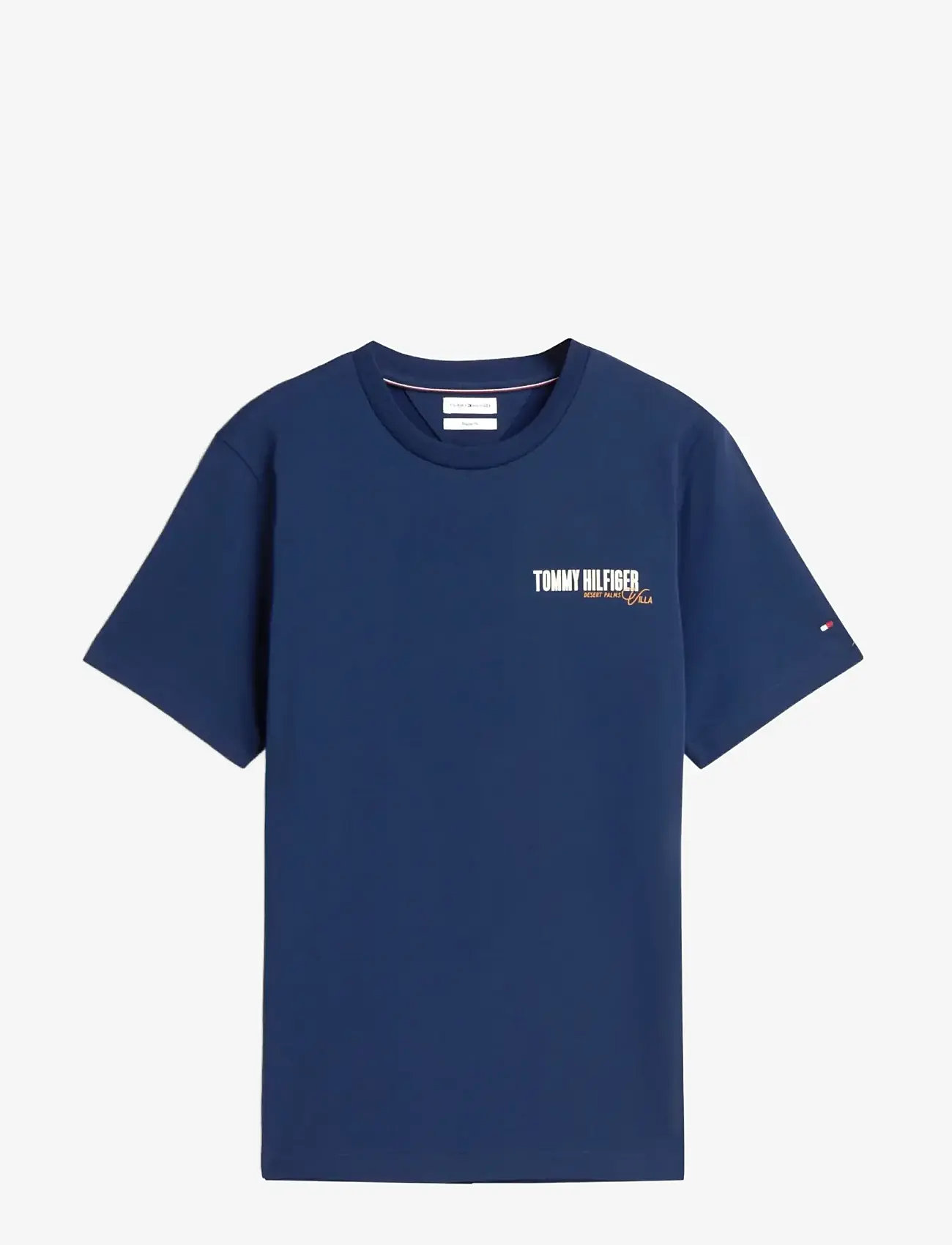 Tommy Hilfiger - SUMMER BACK GRAPHIC REGULAR TEE - short-sleeved t-shirts - carbon navy - 1